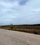 Парцел в София, Филиповци