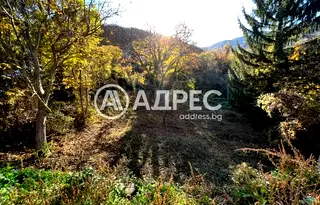 Парцел в София, Княжево