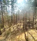 Парцел в София, м-т Щъркелово гнездо