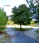 Парцел в София, Младост 1