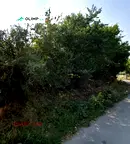Парцел в София, Модерно предградие