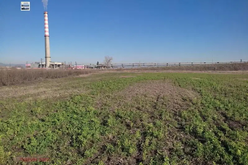 Plot in Sofia, Obelya