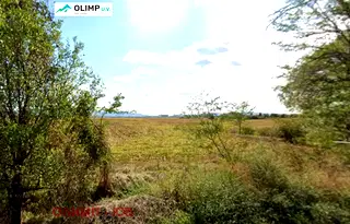 Парцел в София, Република