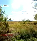 Парцел в София, Република