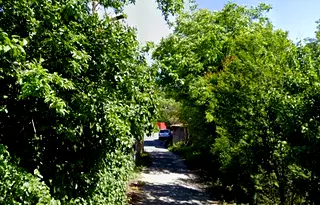 Парцел в София, Република