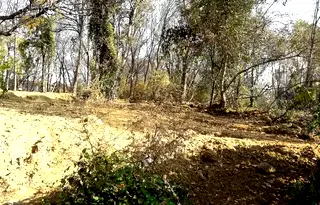 Парцел в София, Факултета