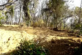 Парцел в София, Факултета