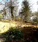 Парцел в София, Факултета