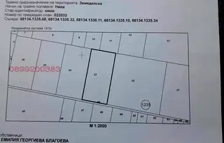 Парцел в София, Требич