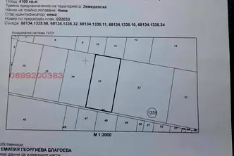 Парцел в София, Требич