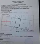 Парцел в София, Требич