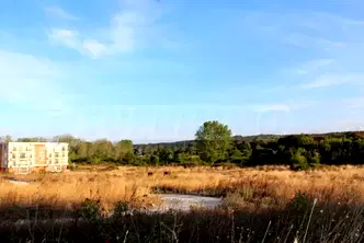 Парцел в Бургас, Созопол