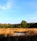 Парцел в Бургас, Созопол