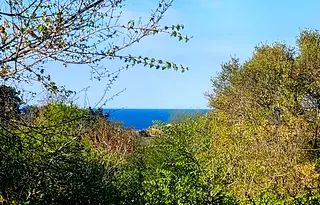 Парцел в Бургас, Созопол
