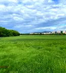 Парцел в Стара Загора, Никола Петков