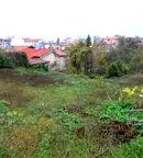 Парцел във Велико Търново, Свищов