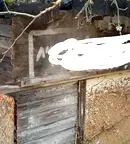 Парцел в София, Своге