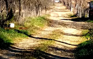 Парцел в Ловеч, Троян