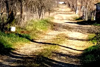 Парцел в Ловеч, Троян
