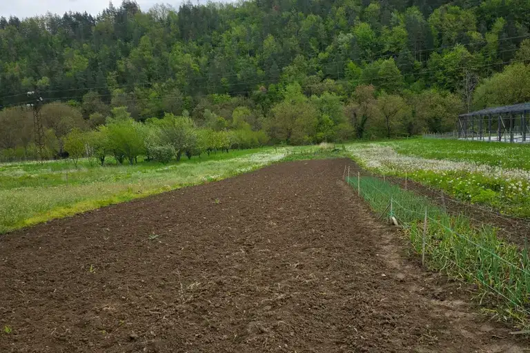 Plot in Oblast Lovech, Troyan