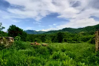 Парцел в Ловеч, Троян