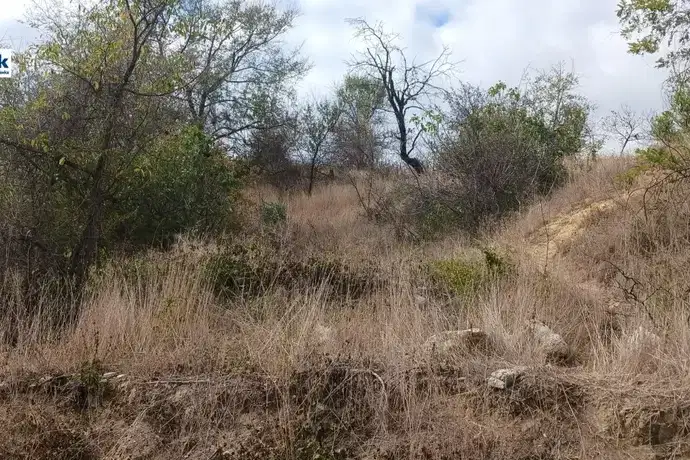 Plot in Varna, Balam Dere