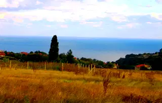 Парцел във Варна, м-т Боровец - юг