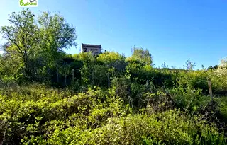 Парцел във Варна, м-т Горна Трака