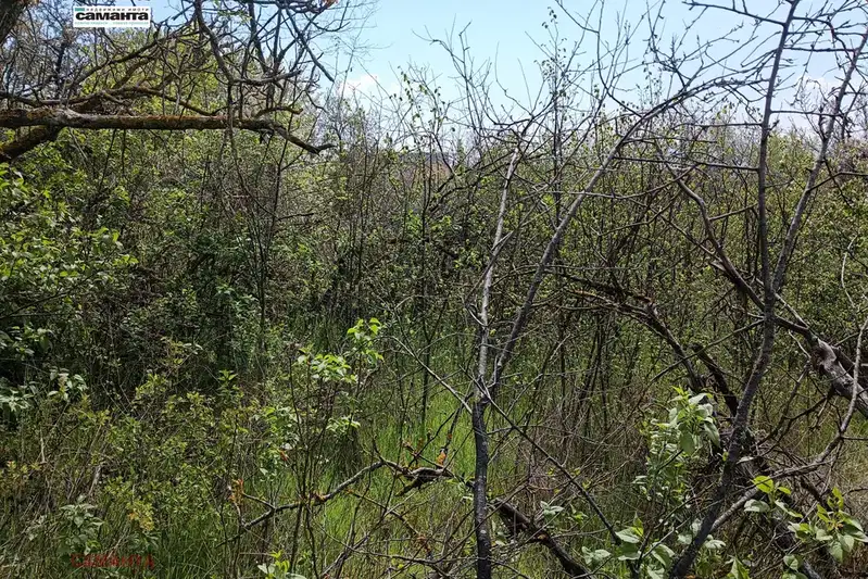 Plot in Varna, Mentesheto