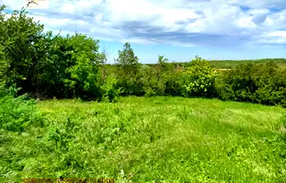 Парцел във Варна, м-т Перчемлията