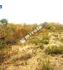 Парцел във Варна, м-т Планова