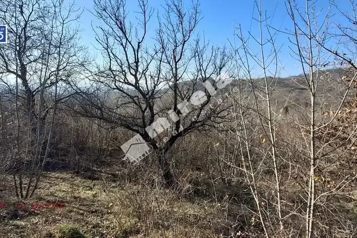 Парцел във Варна, м-т Сълзица