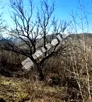 Парцел във Варна, м-т Сълзица