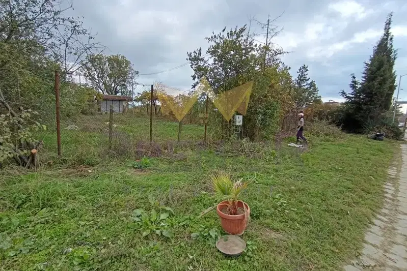 Парцел във Варна, Виница