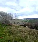 Парцел във Варна, Западна промишлена зона
