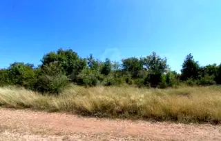 Парцел във Велико Търново, Картала
