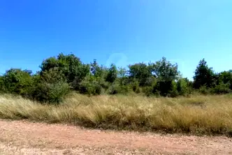 Парцел във Велико Търново, Картала