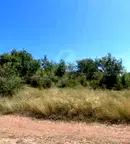 Парцел във Велико Търново, Картала