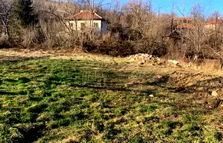 Парцел в Монтана, Вършец