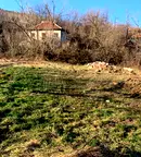 Парцел в Монтана, Вършец