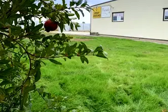 Промишлена сграда в Стара Загора, с. Горно Ботево