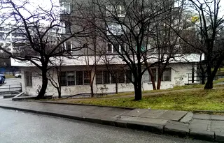 Промишлена сграда в София, Дървеница