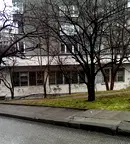 Промишлена сграда в София, Дървеница
