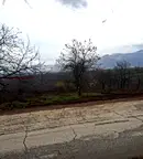 Земеделски имот в Пловдив, Асенов