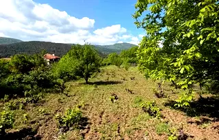 Земеделски имот в Пловдив, Асенов
