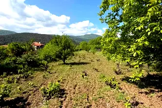 Земеделски имот в Пловдив, Асенов