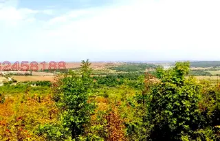 Земеделски имот в Пловдив, Асенов