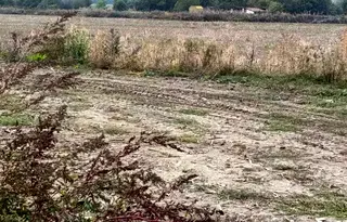 Земеделски имот в Плевен, Белене