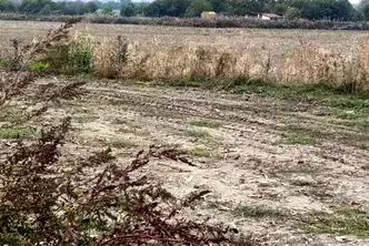 Земеделски имот в Плевен, Белене