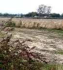 Земеделски имот в Плевен, Белене